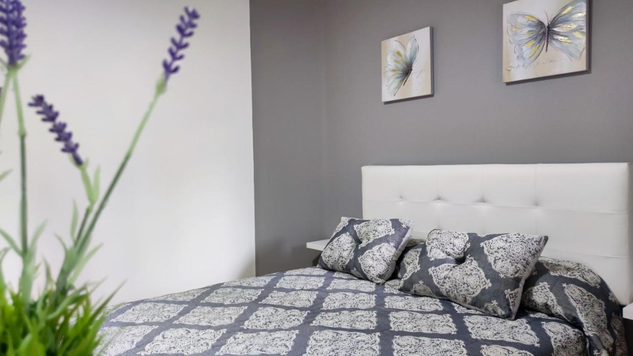 Appartamento Os Reloxos II Mondariz-Balneario Esterno foto